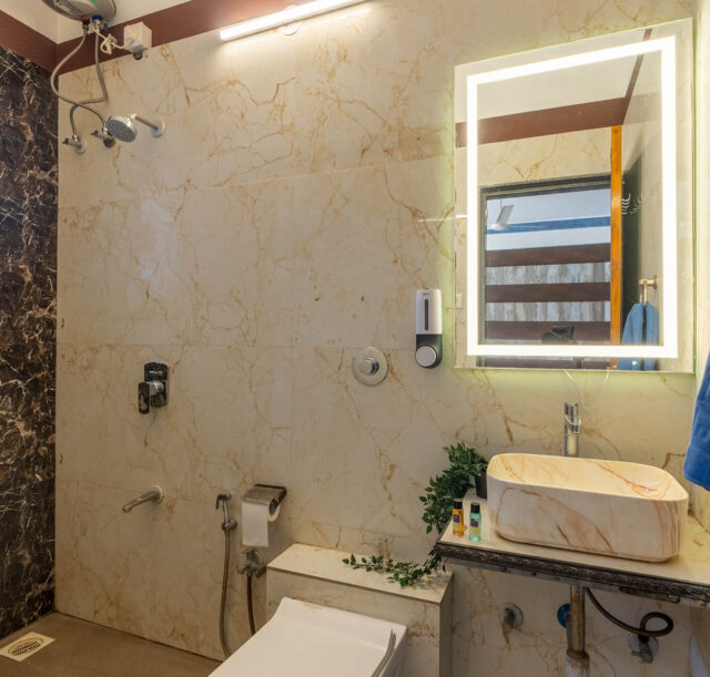 palm Manor Visit 2 final photos -28