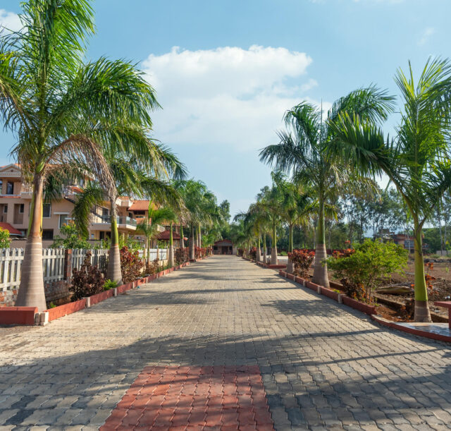 palm Manor Visit 2 final photos -3