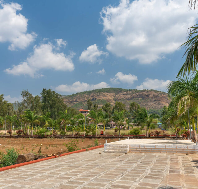 palm Manor Visit 2 final photos -34