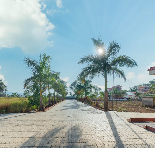 palm Manor Visit 2 final photos -4