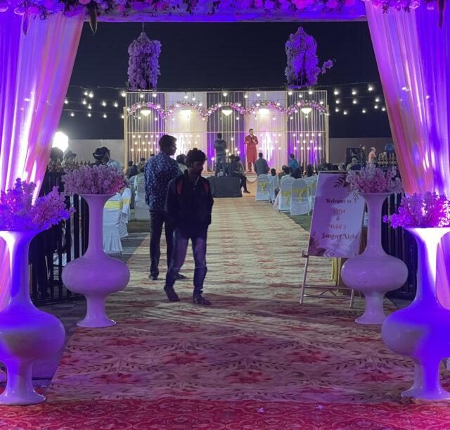 wedding-img-palm (10)